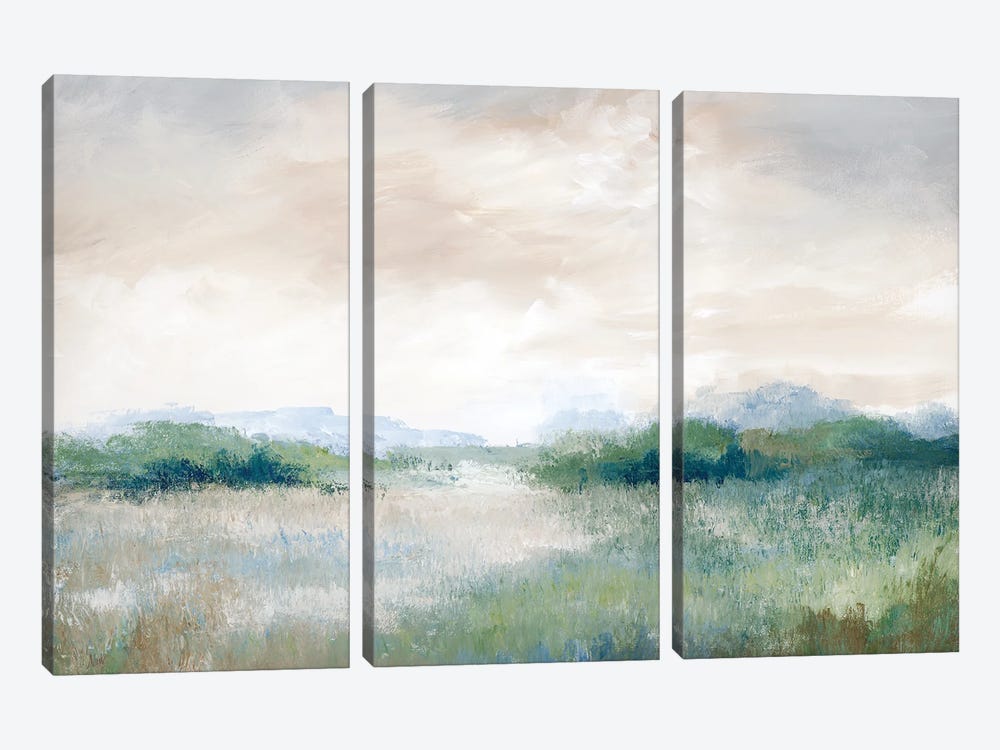 Calming Vista by Nan 3-piece Canvas Art Print