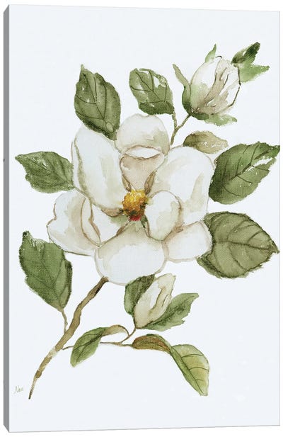 Magnolia Morning I Canvas Art Print - Magnolia Art
