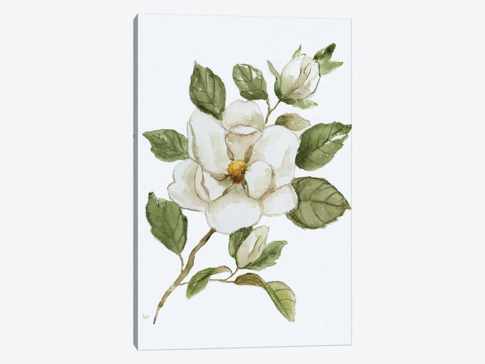 Magnolia Morning I by Nan 1-piece Canvas Art Print