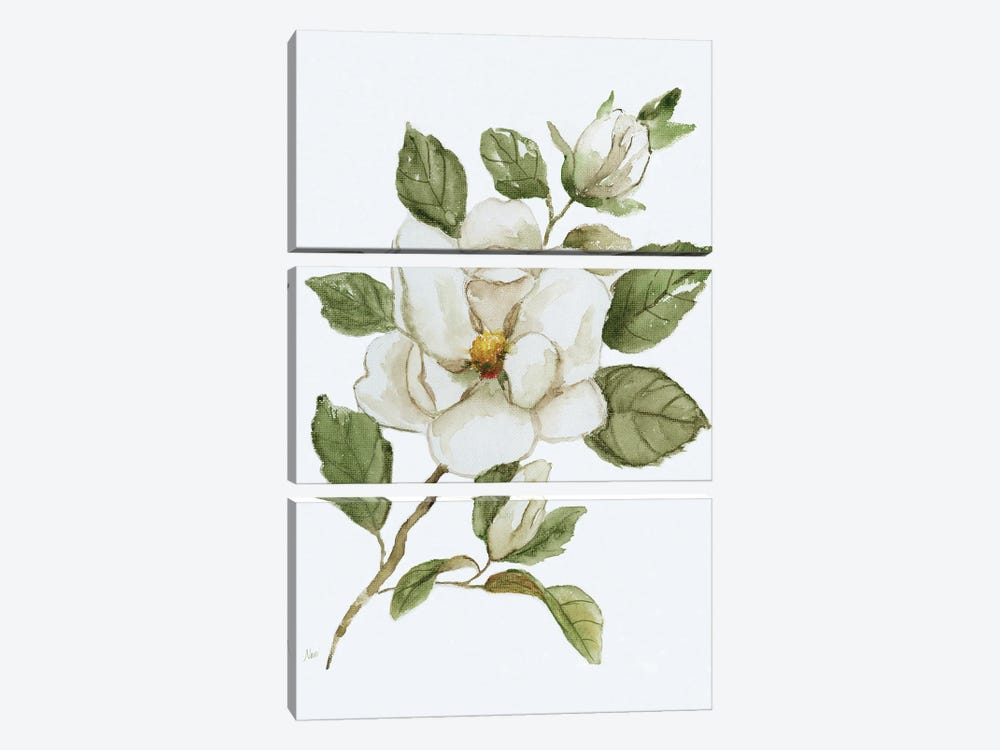 Magnolia Morning I by Nan 3-piece Art Print
