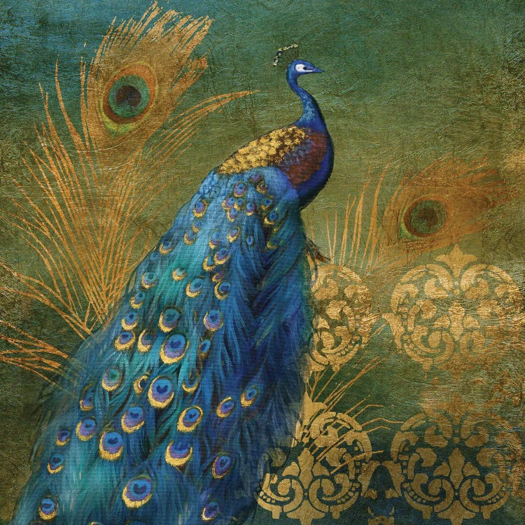 Peacock Bliss by Nan wall art