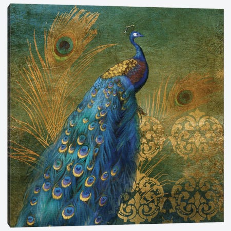 Peacock Bliss Canvas Print #NAN747} by Nan Canvas Art