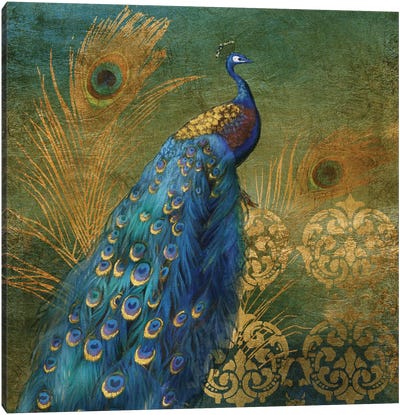 Peacock Bliss Canvas Art Print - Damask Patterns
