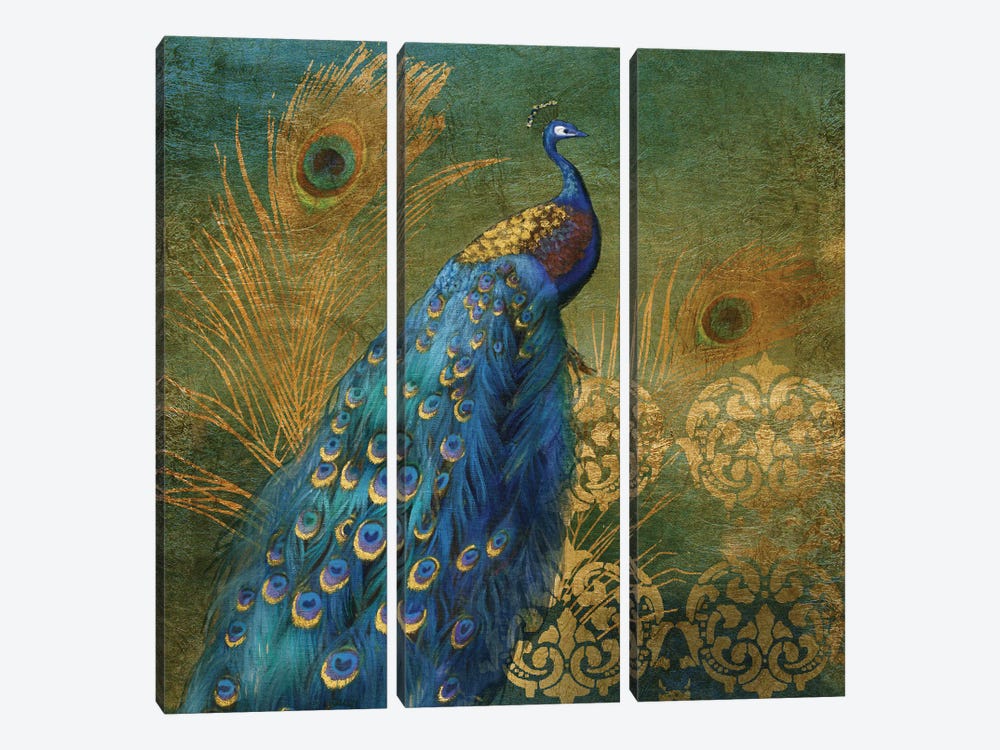 Peacock Bliss by Nan 3-piece Canvas Artwork