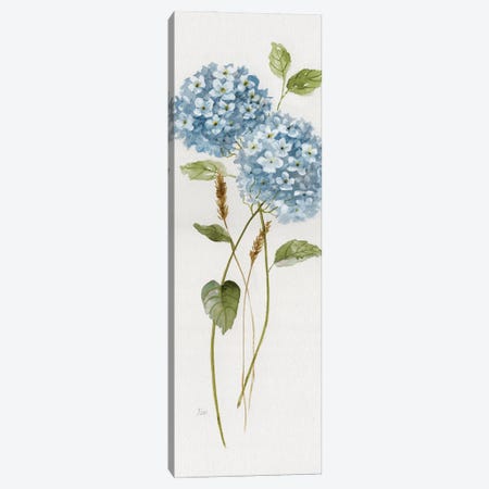 Petite Blue Hydrangea II Canvas Print #NAN748} by Nan Canvas Art Print
