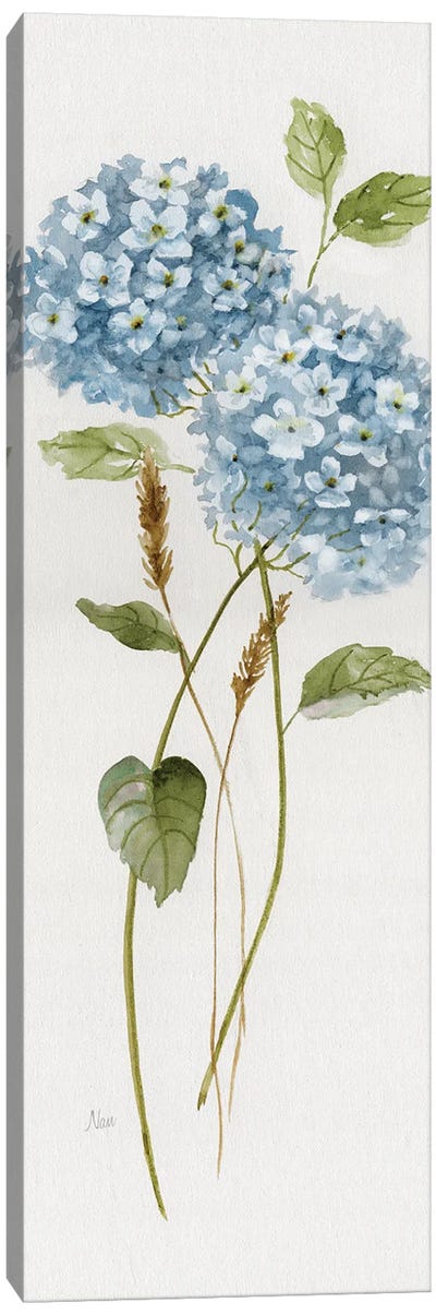 Petite Blue Hydrangea II Canvas Art Print - Hydrangea Art