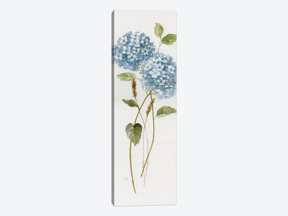 Petite Blue Hydrangea II by Nan 1-piece Canvas Print