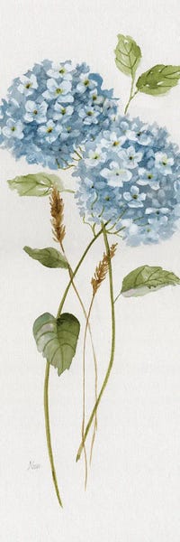 Petite Blue Hydrangea II
