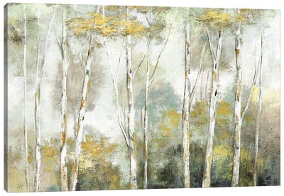 Twinkling Trees Canvas Art Print - Birch Tree Art