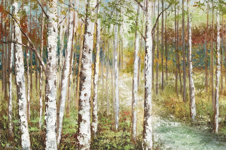 Warm Spice Birch Path by Nan wall art
