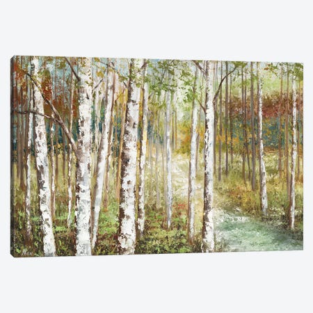 Warm Spice Birch Path Canvas Print #NAN757} by Nan Canvas Art Print