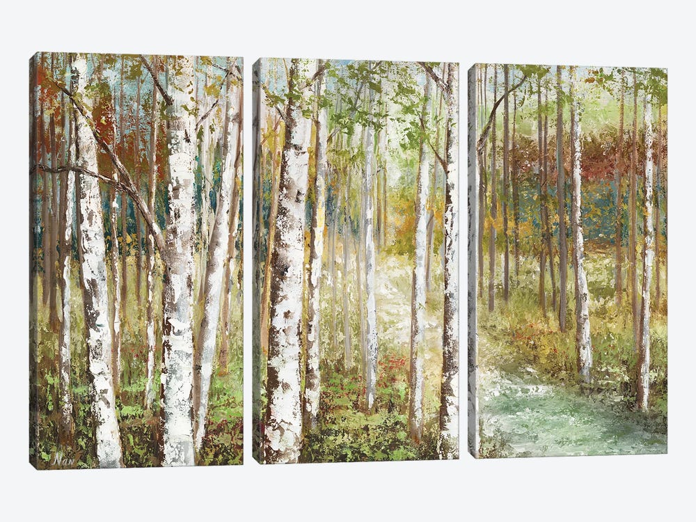 Warm Spice Birch Path by Nan 3-piece Canvas Print