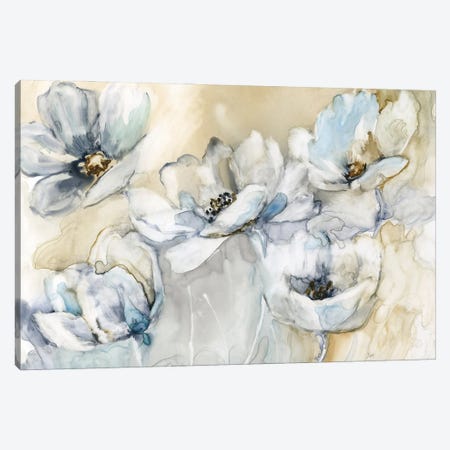 Soft Blooms Canvas Print #NAN765} by Nan Canvas Wall Art