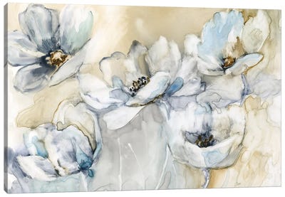 Soft Blooms Canvas Art Print - Nan
