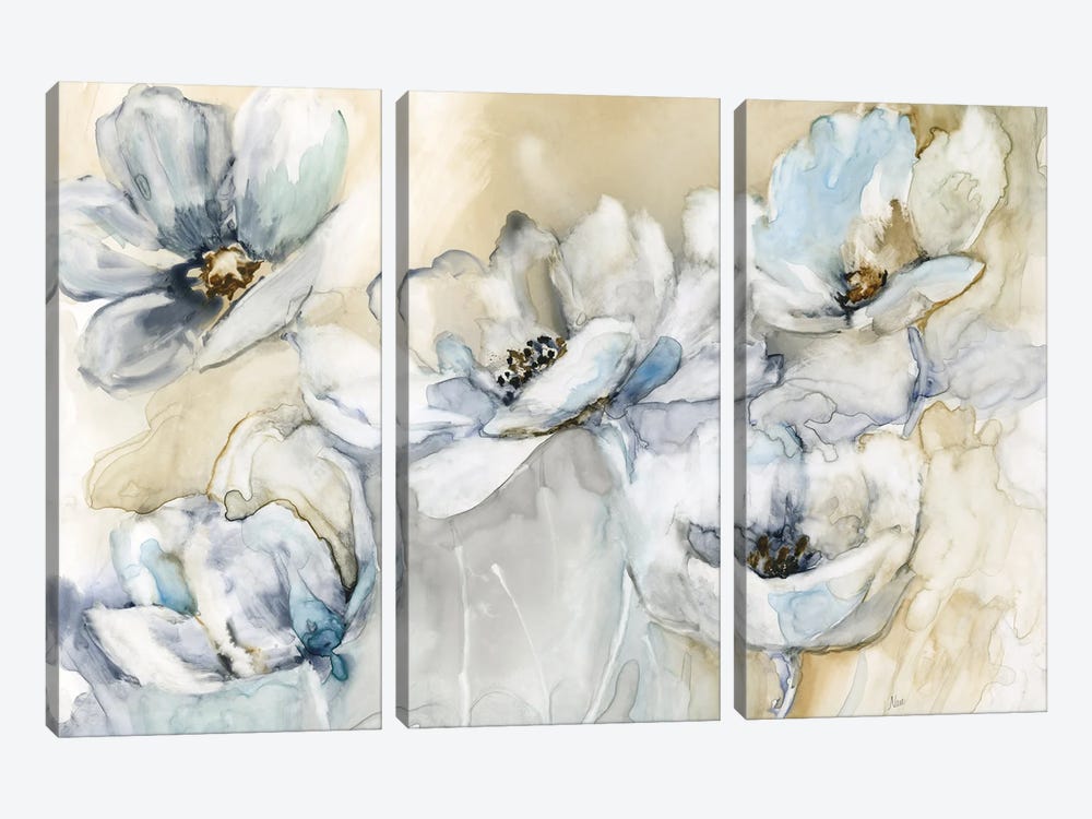 Soft Blooms by Nan 3-piece Canvas Artwork