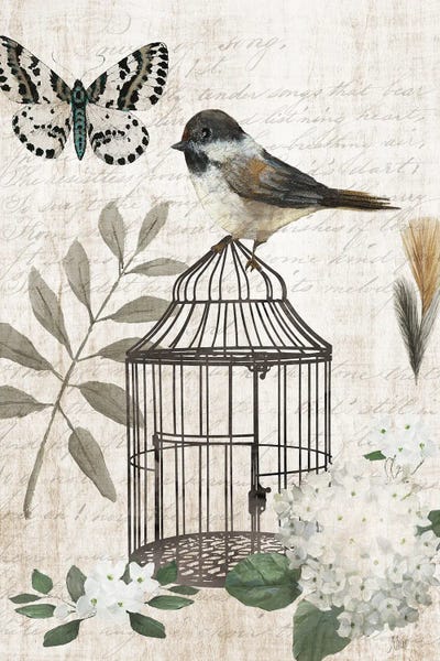 Butterflies and Flowers: Vintage Menagerie II by Nan