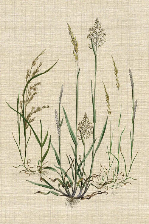 Linen Grasses I