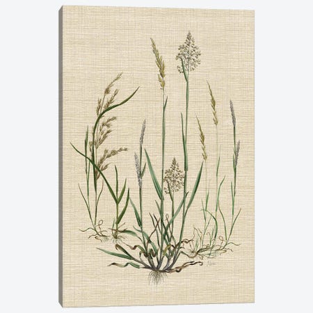 Linen Grasses I Canvas Print #NAN795} by Nan Art Print