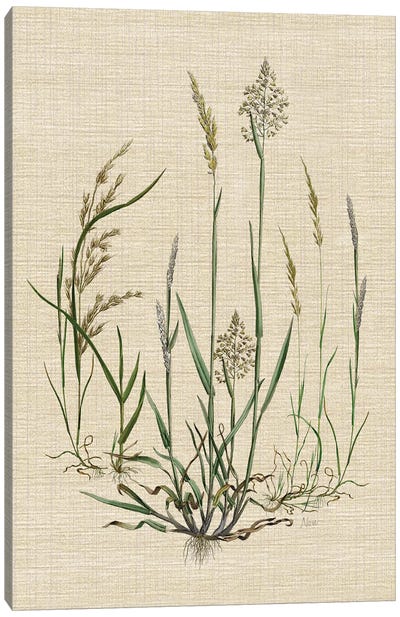 Linen Grasses I Canvas Art Print - Grass Art