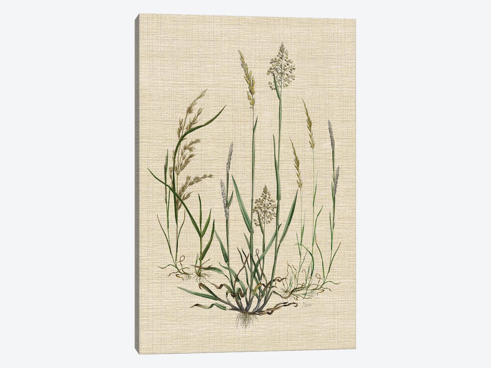 Linen Grasses I by Nan 1-piece Canvas Print