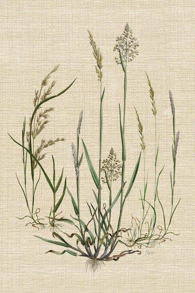 Grasses: Linen Grasses I by Nan
