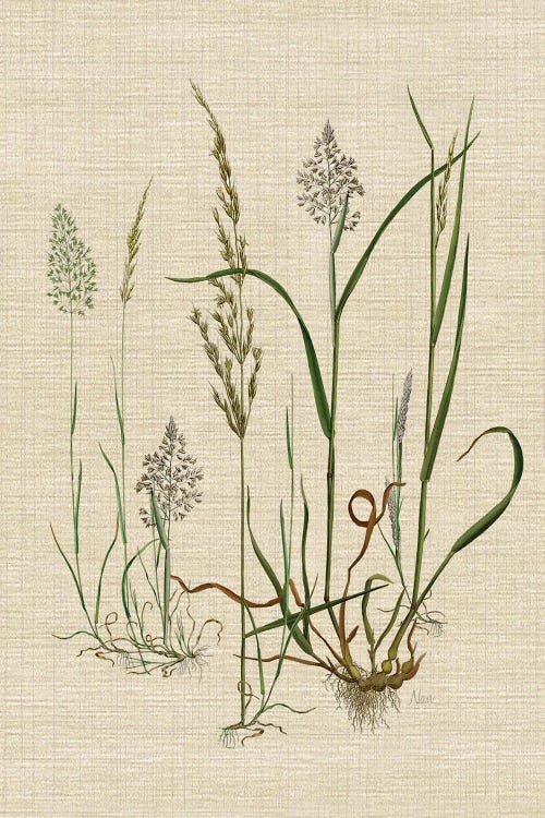 Linen Grasses II