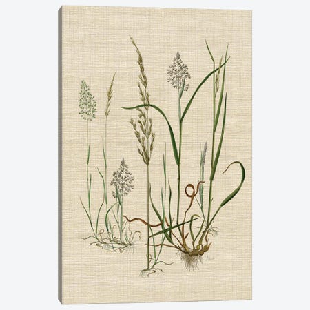 Linen Grasses II Canvas Print #NAN796} by Nan Canvas Print