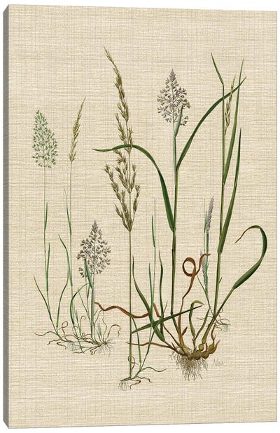 Linen Grasses II Canvas Art Print - Cream Art