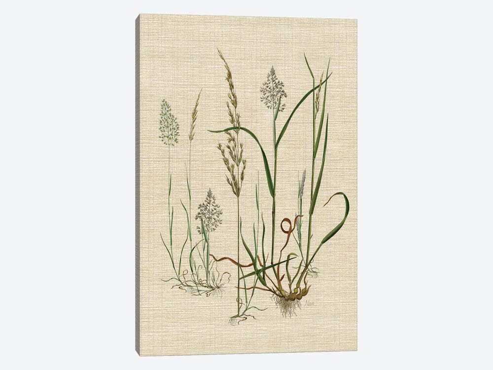 Linen Grasses II by Nan 1-piece Canvas Art