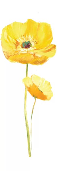 Poppies: Poppy Pop III by Nan