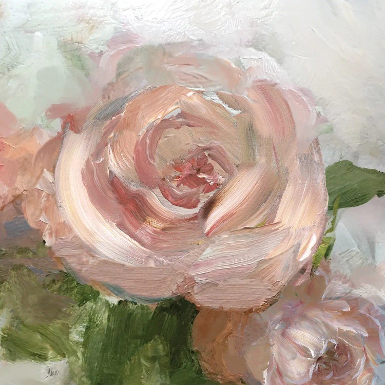 Peachy Rose by Nan wall art