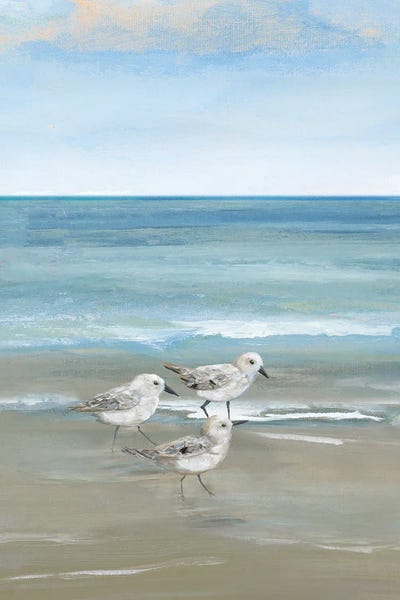 Sandpiper View I by Nan canvas print