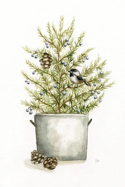Nan - Steelpix Metal Wall Art: Winter Bounty I by Nan