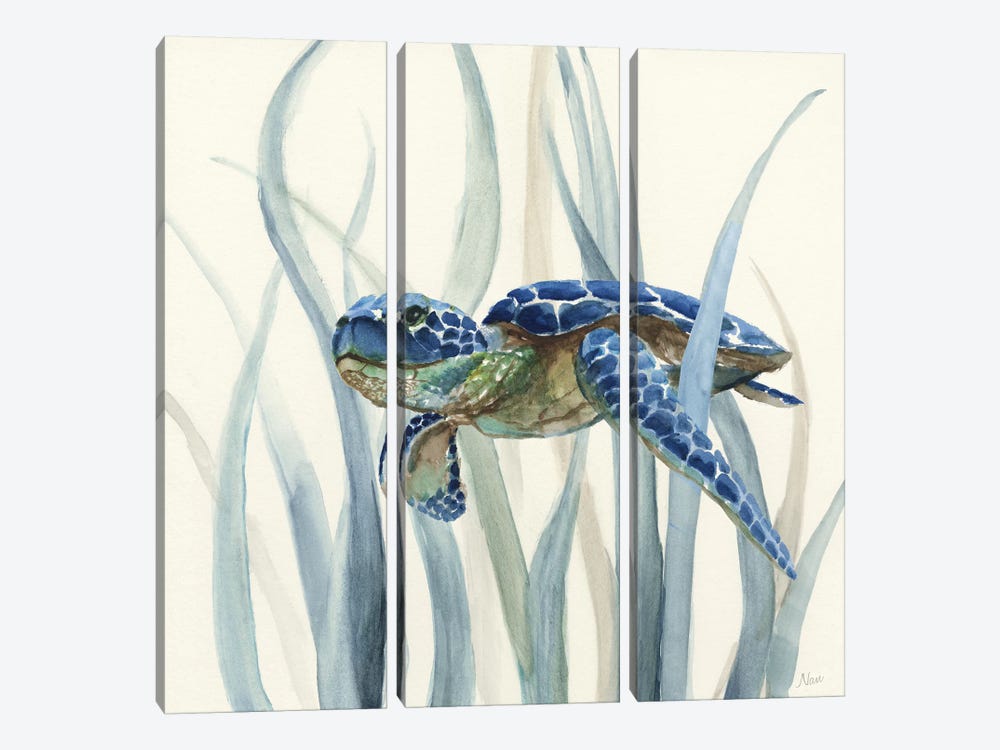Turtle in Seagrass II by Nan 3-piece Canvas Artwork