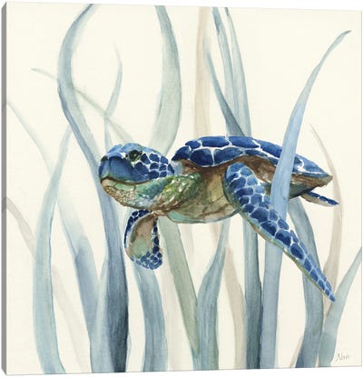 Turtle in Seagrass II Canvas Art Print - Decorative Art