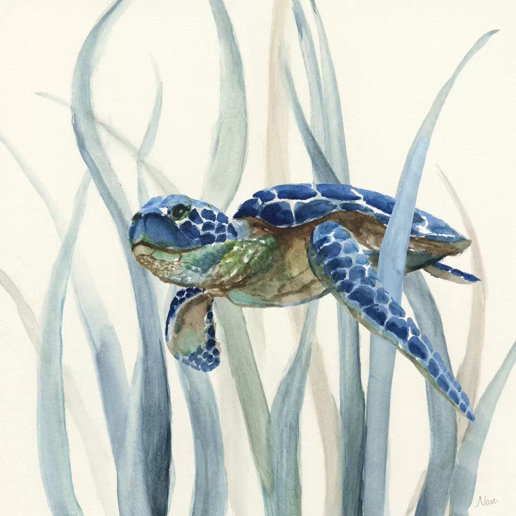 Turtle in Seagrass II by Nan wall art