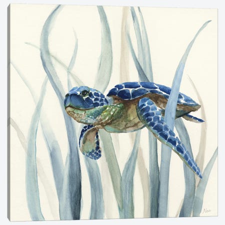 Turtle in Seagrass II Canvas Print #NAN86} by Nan Canvas Artwork