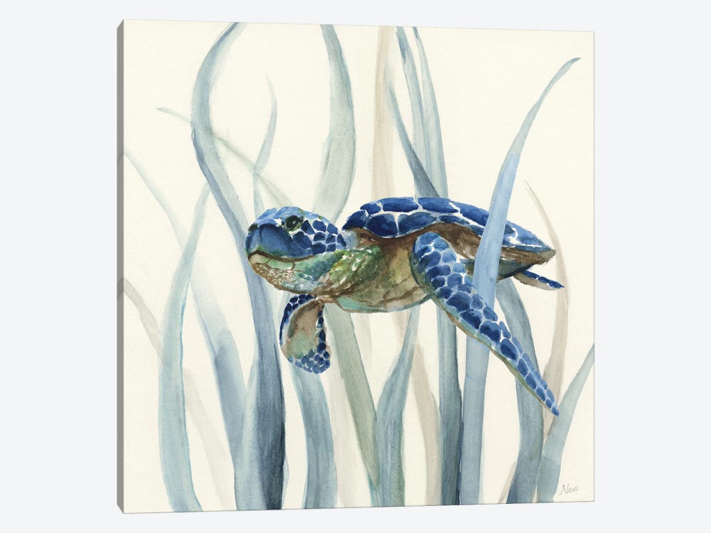 Turtle in Seagrass II by Nan 1-piece Canvas Artwork