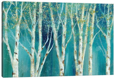 Birch On Blue Canvas Art Print - Birch Tree Art