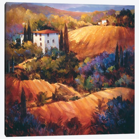 Evening Glow Tuscany Canvas Print #NAO2} by Nancy O'Toole Canvas Art
