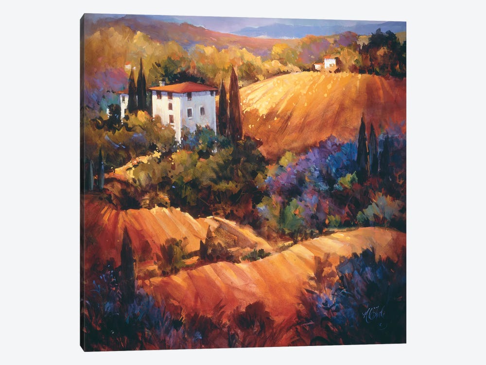 Evening Glow Tuscany by Nancy O'Toole 1-piece Canvas Artwork