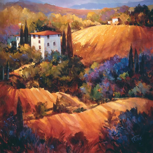 Hillsides: Evening Glow Tuscany by Nancy O'Toole
