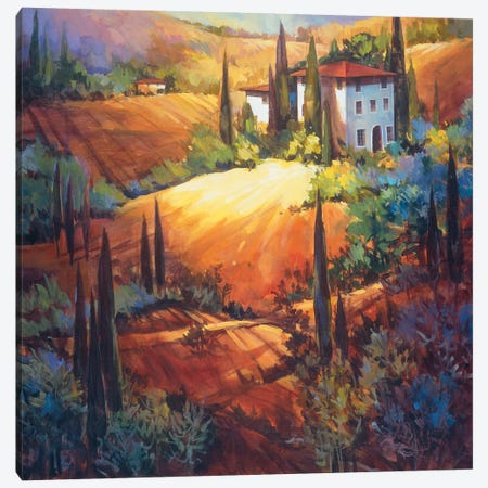 Morning Light Tuscany Canvas Print #NAO3} by Nancy O'Toole Canvas Art