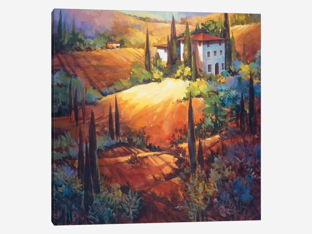 Morning Light Tuscany by Nancy O'Toole 1-piece Canvas Print