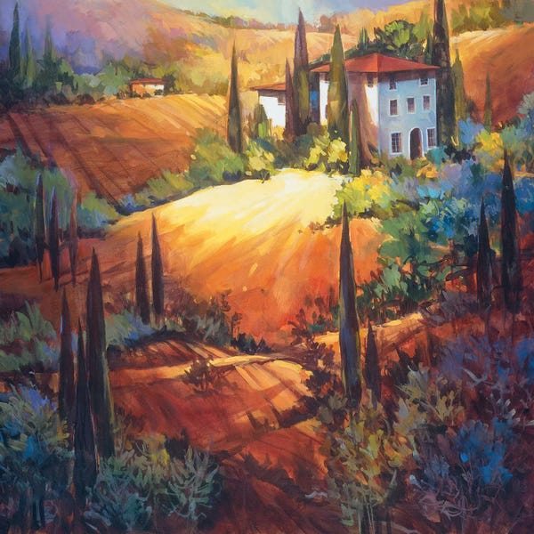 Hillsides: Morning Light Tuscany by Nancy O'Toole