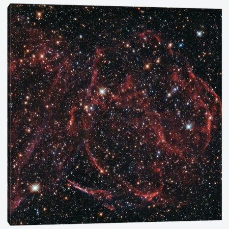 A Long-Dead Star (Remnants Of A Supernova), DEM L316A Canvas Print #NAS24} by NASA Art Print