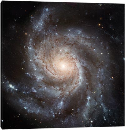 Big, Beautiful Spiral, Messier 101 (Pinwheel Galaxy) Canvas Art Print - Art for Teens