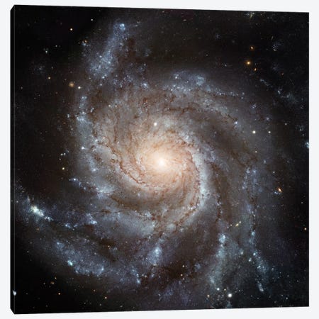 Big, Beautiful Spiral, Messier 101 (Pinwheel Galaxy) Canvas Print #NAS28} by NASA Canvas Art