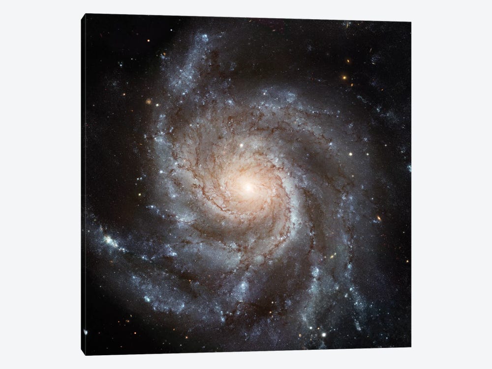 Big, Beautiful Spiral, Messier 101 (Pinwheel Galaxy) by NASA 1-piece Canvas Artwork