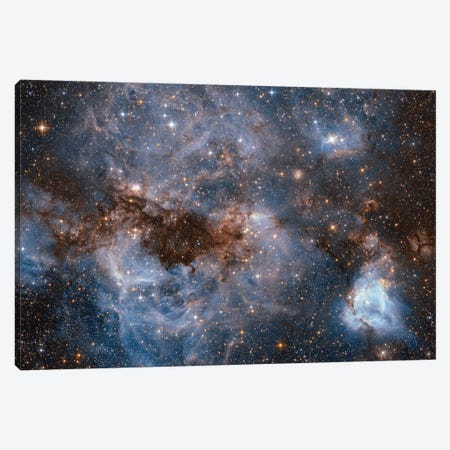 Maelstrom Of Glowing Gas And Dark Dust, Papillon Nebula, N159 Canvas Print #NAS40} by NASA Canvas Art